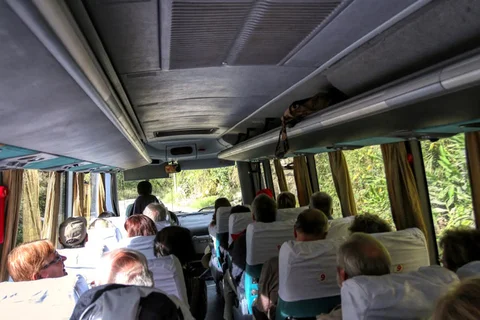 Imagen descriptiva del contenido