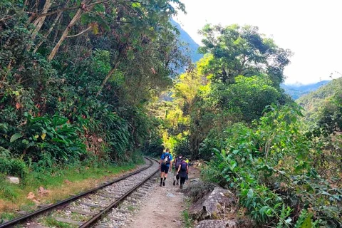 Imagen descriptiva del contenido