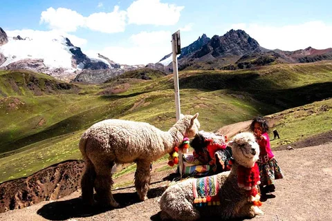 Imagen descriptiva del contenido