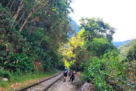 Flora e Fauna na rota por Santa Teresa (Hidrelétrica)