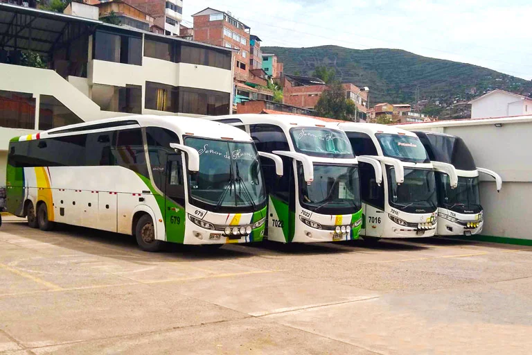 Public service buses